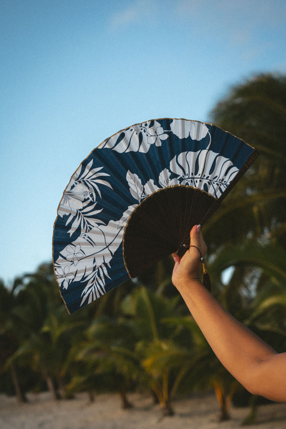 THE POE FAN - NOA NOA NAVY